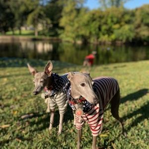 Meet your Posher, Tj